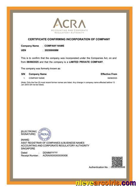 Singapore certificate of company incorporation